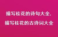 描写桂花的古诗词大全【100句文案精选】