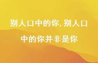 别人口中的你并非是你(100句)