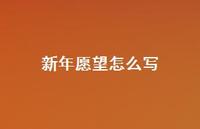 新年愿望怎么写59句汇总
