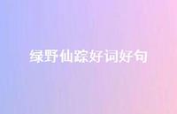 绿野仙踪好词好句59句汇总 绿野仙踪好词好句59句汇总