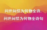 问世间情为何物全诗句【精品文案100句】 问世间情为何物全诗句【精品文案100句】