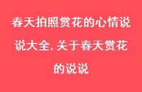 关于春天赏花的说说(100句)