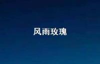 风雨玫瑰56句汇总 风雨玫瑰56句汇总