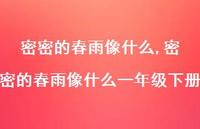 密密的春雨像什么一年级下册【精品文案100句】 密密的春雨像什么一年级下册【精品文案100句】