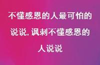 讽刺不懂感恩的人说说【100句文案】 讽刺不懂感恩的人说说【100句文案】