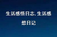 生活感想日记【精品文案100句】