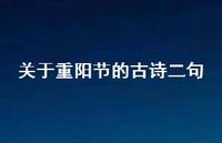 关于重阳节的古诗二句(精选49句) 关于重阳节的古诗二句(精选49句)