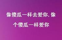 像个傻瓜一样爱你【100句文案精选】