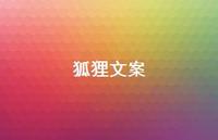 狐狸文案【100句精选短句合集】