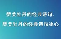 赞美牡丹的经典诗句冰心【精品文案100句】 赞美牡丹的经典诗句冰心【精品文案100句】