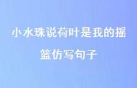 小水珠说荷叶是我的摇篮仿写句子【100句精选短句合集】