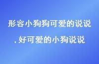 好可爱的小狗说说(100句) 好可爱的小狗说说(100句)