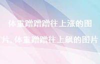 体重蹭蹭往上飙的图片(100句) 体重蹭蹭往上飙的图片(100句)