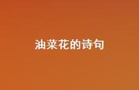 油菜花的诗句46句汇总