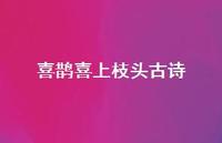 喜鹊喜上枝头古诗(精选38句)