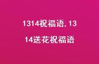 1314送花祝福语【100句文案精选】 1314送花祝福语【100句文案精选】