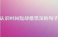 认识时间短却感情深的句子【81句精选短句合集】