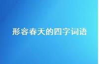 形容春天的四字词语55句汇总