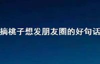 摘桃子想发朋友圈的好句话【100句精选短句合集】