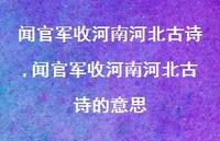 闻官军收河南河北古诗的意思【100句文案精选】