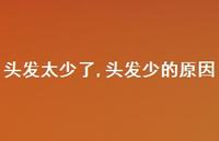 头发少的原因(100句) 头发少的原因(100句)