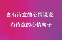 有诗意的心情句子(100句)