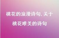 关于桃花唯美的诗句【精品文案100句】 关于桃花唯美的诗句【精品文案100句】
