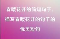 描写春暖花开的句子的优美短句【100句文案精选】