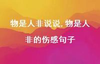物是人非的伤感句子(100句)