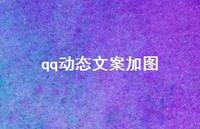 qq动态文案加图48句汇总 qq动态文案加图48句汇总