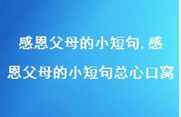 感恩父母的小短句总心口窝【100句文案精选】 感恩父母的小短句总心口窝【100句文案精选】