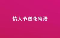 情人节送花寄语63句汇总 情人节送花寄语63句汇总