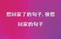很想回家的句子(100句) 很想回家的句子(100句)