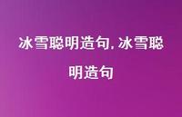 冰雪聪明造句【精品文案100句】 冰雪聪明造句【精品文案100句】