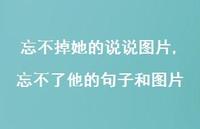 忘不了他的句子和图片(100句)