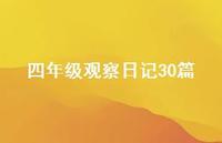 四年级观察日记30篇62句汇总 四年级观察日记30篇62句汇总