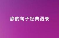 静的句子经典语录64句汇总