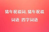 猪年祝福词语 四字词语【100句文案精选】 猪年祝福词语 四字词语【100句文案精选】