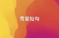 雪景短句41句汇总 雪景短句41句汇总