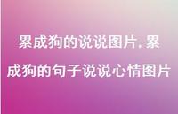 累成狗的句子说说心情图片【100句文案】 累成狗的句子说说心情图片【100句文案】