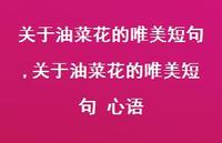 关于油菜花的唯美短句 心语【精品文案100句】 关于油菜花的唯美短句 心语【精品文案100句】