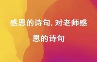 对老师感恩的诗句【100句文案精选】