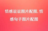 情感句子图片配图【100句文案】