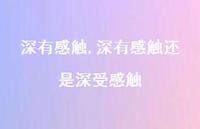 深有感触还是深受感触【精品文案100句】 深有感触还是深受感触【精品文案100句】