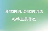 苏轼的词风格特点是什么【100句文案精选】