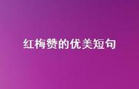 红梅赞的优美短句【100句精选短句合集】