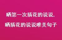 晒插花的说说唯美句子(100句)