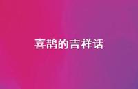 喜鹊的吉祥话(精选69句)