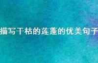 描写干枯的莲蓬的优美句子(精选44句)