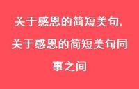 关于感恩的简短美句同事之间【100句文案精选】